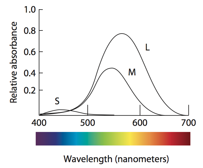 Cone sensitivities.png