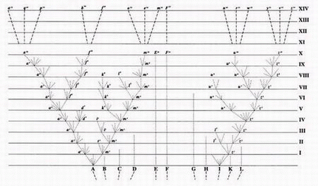 On the origin of species diagram.png